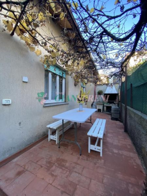 Berna San Vincenzo